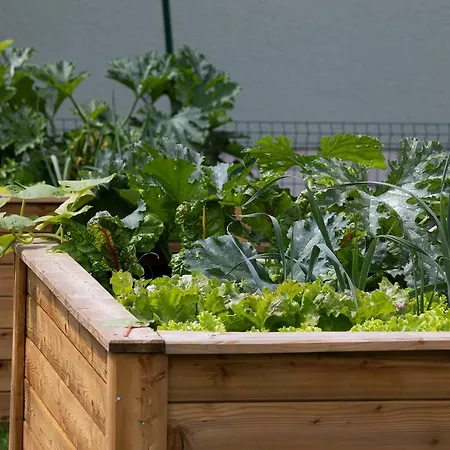 Appartement Razingar 9