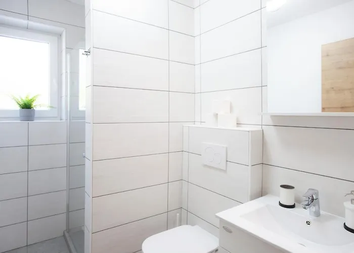 Apartman Razingar 9 *